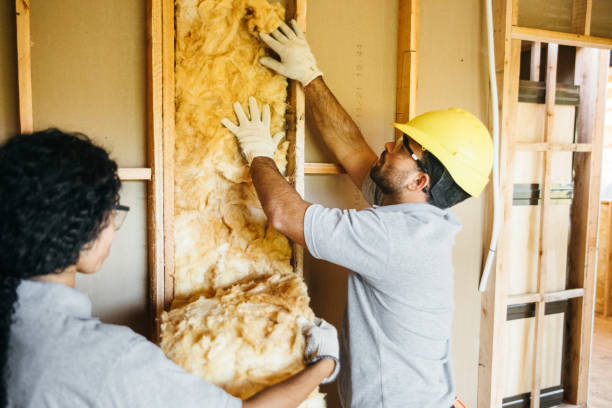 Best Reflective Insulation  in Thorndale, TX